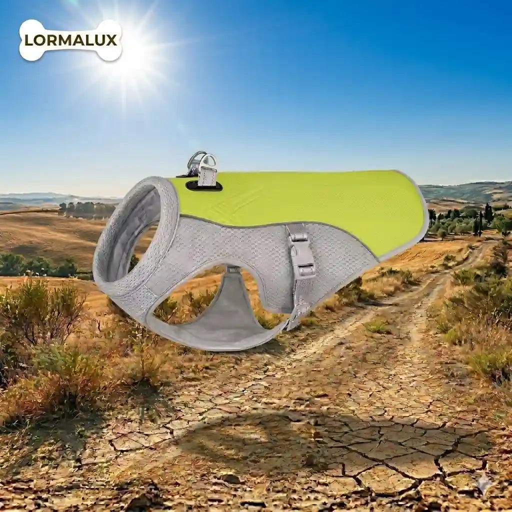 AeroFrost Lormalux™-Gilet a Rifrazione UV con Tecnologia di Raffreddamento a 3 Strati